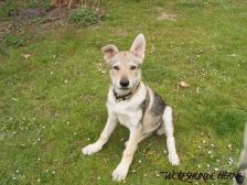 Blaidd from Bandit´s World am 07.04.2007