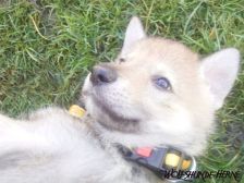 Blaidd from Bandit´s World am 12.02.2007