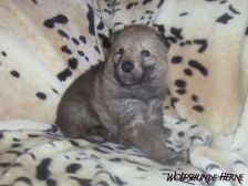 Bruce from Bandit´s World am 03.02.2007