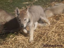 Bruce from Bandit´s World am 10.03.2007