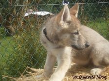 Bruce from Bandit´s World am 10.03.2007