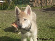 Bruce from Bandit´s World am 10.03.2007