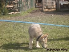 Bruce from Bandit´s World am 10.03.2007