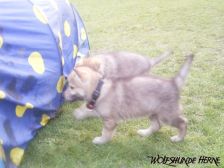 Bruce from Bandit´s World am 12.02.2007