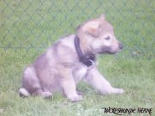 Bruce from Bandit´s World am 12.02.2007