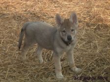 Bruce from Bandit´s World am 13.03.2007