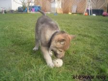 Bruce from Bandit´s World am 16.02.2007