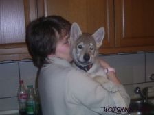 Bruce from Bandit´s World am 16.03.2007