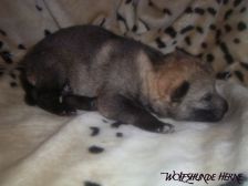 Bruce from Bandit´s World am 19.01.2007