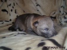 Bruce from Bandit´s World am 19.01.2007