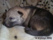 Bruce from Bandit´s World am 19.01.2007