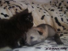 Bruce from Bandit´s World am 27.01.2007