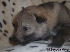 Bruce from Bandit´s World am 27.01.2007