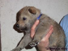 Connor from Bandit´s World am 03.03.2008