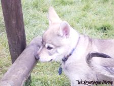 Connor from Bandit´s World am 05.04.2008