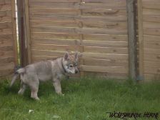 Connor from Bandit´s World am 06.04.2008