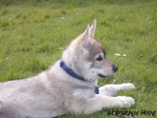 Connor from Bandit´s World am 06.04.2008