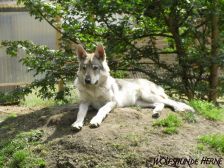 Connor from Bandit´s World am 07.07.2008