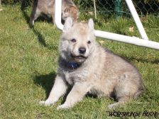 Connor from Bandit´s World am 08.03.2008