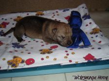 Connor from Bandit´s World am 11.02.2008