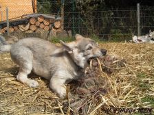 Connor from Bandit´s World am 12.04.2008