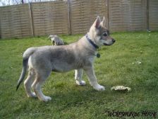 Connor from Bandit´s World am 12.04.2008