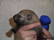 Connor from Bandit´s World am 12.02.2008