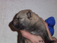 Connor from Bandit´s World am 13.02.2008