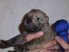 Connor from Bandit´s World am 15.02.2008