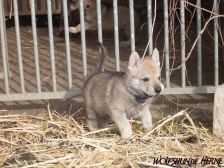 Connor from Bandit´s World am 15.03.2008