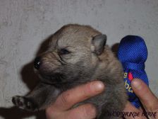 Connor from Bandit´s World am 18.02.2008