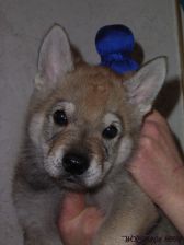 Connor from Bandit´s World am 19.03.2008