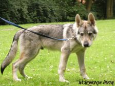 Connor from Bandit´s World am 20.06.2008