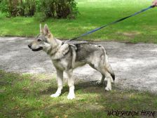 Connor from Bandit´s World am 20.06.2008