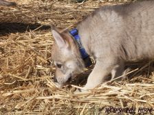 Connor from Bandit´s World am 23.03.2008