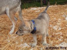 Connor from Bandit´s World am 26.03.2008