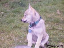 Connor from Bandit´s World am 27.03.2008