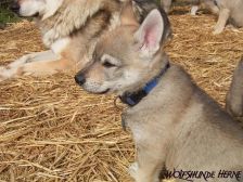 Connor from Bandit´s World am 28.03.2008