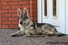 Connor from Bandit´s World am 25.05.2008