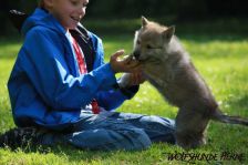 Welpen D-Wurf am 02.05.2011