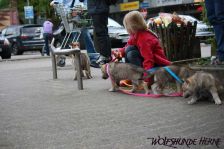 Welpen D-Wurf am 04.05.2011