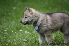 Delphi from Bandit´s World am 06.05.2011