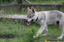 Delphi from Bandit´s World am 23.06.2011