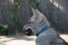 Delphi from Bandit´s World am 29.05.2011