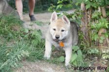 Djumana from Bandit´s World am 07.05.2011
