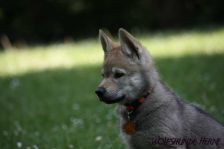 Djumana from Bandit´s World am 13.05.2011