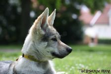Djumana from Bandit´s World am 13.06.2011