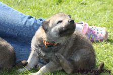 Djumana from Bandit´s World am 18.04.2011