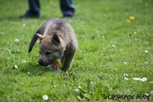 Djumana from Bandit´s World am 29.04.2011