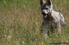 Djumana from Bandit´s World am 29.05.2011